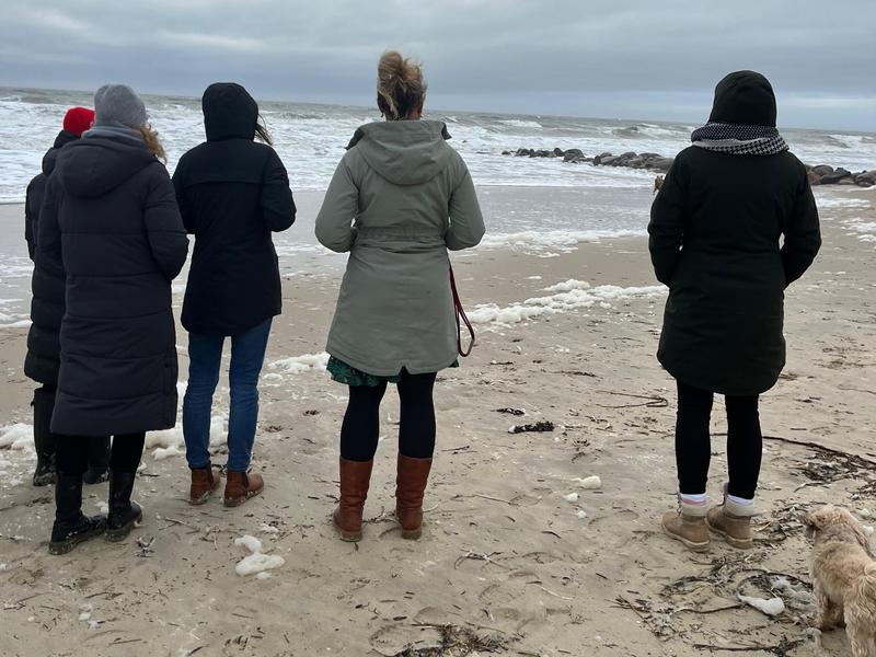 Gemeinsam mit den Hunden am Strand